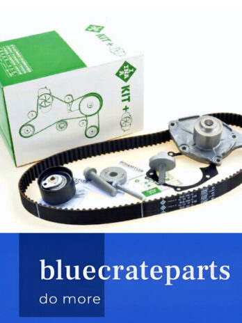 INA 530019732 Water Pump and Timing Belt Kit - Renault / Dacia / Nissan