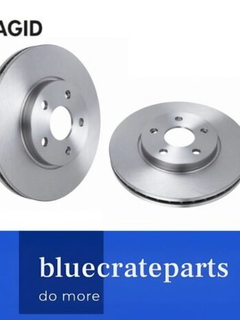 PAGID (HELLA) 54989 Brake Discs Set (2pcs) - 8DD 355 116-351 -Vauxhall/Chevrolet